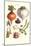 Vegetables; Peas, Onion, Turnip, Raddish, Green Beans-Philippe-Victoire Leveque de Vilmorin-Mounted Art Print