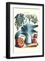 Vegetables; Peas, Pods, Onions, Leeks, and a Gourd-Philippe-Victoire Leveque de Vilmorin-Framed Art Print