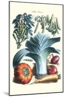 Vegetables; Peas, Pods, Onions, Leeks, and a Gourd-Philippe-Victoire Leveque de Vilmorin-Mounted Art Print