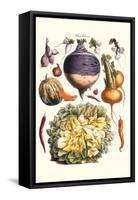 Vegetables; Peppers, Onion, Raddish, Tubers, Pumpkin, and Lettuce-Philippe-Victoire Leveque de Vilmorin-Framed Stretched Canvas