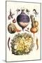 Vegetables; Peppers, Onion, Raddish, Tubers, Pumpkin, and Lettuce-Philippe-Victoire Leveque de Vilmorin-Mounted Art Print