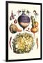 Vegetables; Peppers, Onion, Raddish, Tubers, Pumpkin, and Lettuce-Philippe-Victoire Leveque de Vilmorin-Framed Art Print