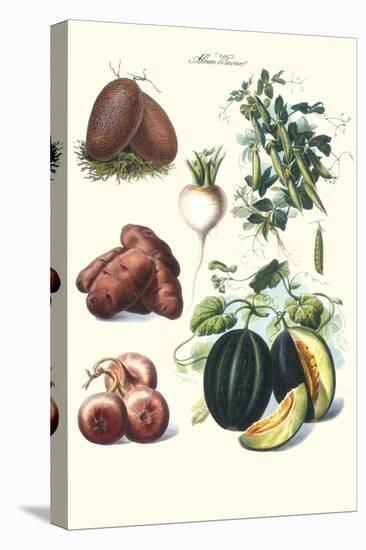 Vegetables; Potato, Melon, Raddish, Peas, Onions-Philippe-Victoire Leveque de Vilmorin-Stretched Canvas