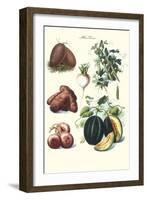 Vegetables; Potato, Melon, Raddish, Peas, Onions-Philippe-Victoire Leveque de Vilmorin-Framed Art Print