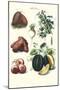 Vegetables; Potato, Melon, Raddish, Peas, Onions-Philippe-Victoire Leveque de Vilmorin-Mounted Art Print