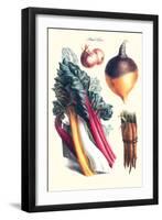 Vegetables; Rhubard, Carrot, Onion, Turnip-Philippe-Victoire Leveque de Vilmorin-Framed Art Print