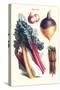 Vegetables; Rhubard, Carrot, Onion, Turnip-Philippe-Victoire Leveque de Vilmorin-Stretched Canvas