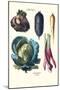 Vegetables; Rhubard, Tubers, and Cabbage-Philippe-Victoire Leveque de Vilmorin-Mounted Art Print