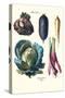 Vegetables; Rhubard, Tubers, and Cabbage-Philippe-Victoire Leveque de Vilmorin-Stretched Canvas