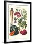 Vegetables; Strawberries, Beans, Tomato, Melon, and Raddish-Philippe-Victoire Leveque de Vilmorin-Framed Art Print