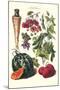 Vegetables; Strawberries, Beans, Tomato, Melon, and Raddish-Philippe-Victoire Leveque de Vilmorin-Mounted Art Print