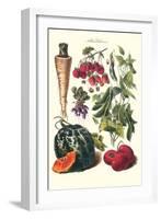 Vegetables; Strawberries, Beans, Tomato, Melon, and Raddish-Philippe-Victoire Leveque de Vilmorin-Framed Art Print