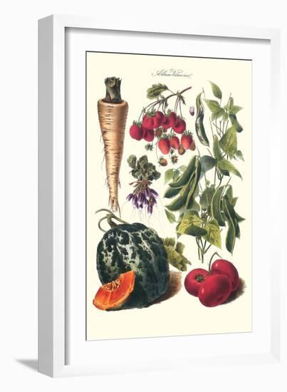 Vegetables; Strawberries, Beans, Tomato, Melon, and Raddish-Philippe-Victoire Leveque de Vilmorin-Framed Art Print
