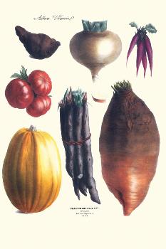 Vilmorin Fruit & Vegetable Prints