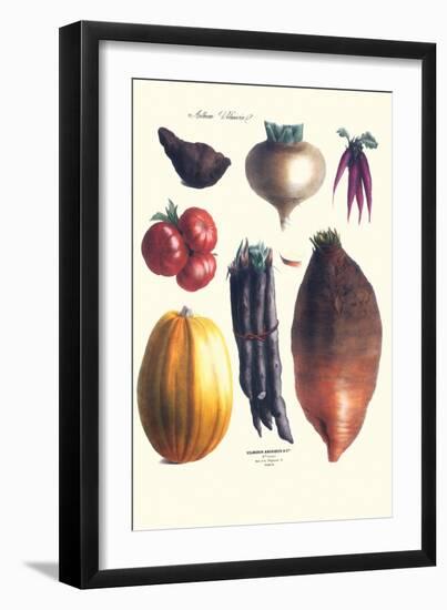Vegetables; Tomato, Raddish, Sweet, Pumpkin, Carrots, Yam-Philippe-Victoire Leveque de Vilmorin-Framed Art Print