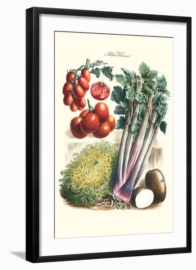 Vegetables; Tomato Varieties, Celery, and Potato-Philippe-Victoire Leveque de Vilmorin-Framed Art Print