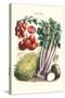 Vegetables; Tomato Varieties, Celery, and Potato-Philippe-Victoire Leveque de Vilmorin-Stretched Canvas