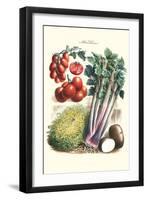 Vegetables; Tomato Varieties, Celery, and Potato-Philippe-Victoire Leveque de Vilmorin-Framed Art Print