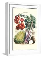 Vegetables; Tomato Varieties, Celery, and Potato-Philippe-Victoire Leveque de Vilmorin-Framed Art Print