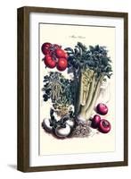 Vegetables; Turnip, Raddish, Tomato, Celery, and Peas-Philippe-Victoire Leveque de Vilmorin-Framed Art Print