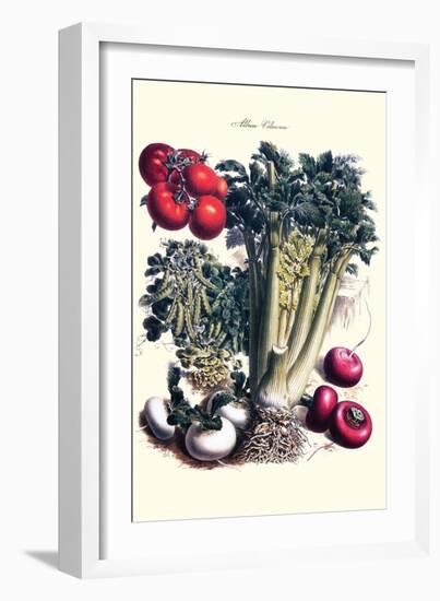 Vegetables; Turnip, Raddish, Tomato, Celery, and Peas-Philippe-Victoire Leveque de Vilmorin-Framed Art Print