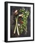 Vegetables-1x #NAME?-Framed Giclee Print