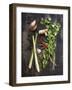 Vegetables-1x #NAME?-Framed Giclee Print