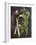 Vegetables-1x #NAME?-Framed Giclee Print