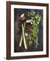 Vegetables-1x #NAME?-Framed Giclee Print