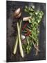 Vegetables-1x #NAME?-Mounted Giclee Print