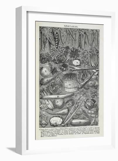 Vegetables-Isabella Beeton-Framed Giclee Print