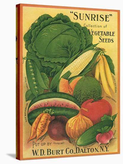 Vegetables-null-Stretched Canvas