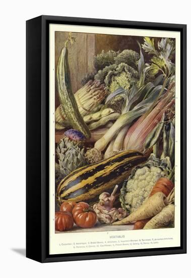 Vegetables-null-Framed Stretched Canvas