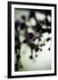 Vegetal / 4218, 2008-Laetizia Bazzoni-Framed Premium Giclee Print