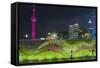 Vegetal Wall on the Bund and View over Pudong Financial District Skyline at Night, Shanghai, China-G & M Therin-Weise-Framed Stretched Canvas