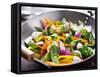 Vegetarian Wok Stir Fry-evren_photos-Framed Stretched Canvas