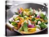Vegetarian Wok Stir Fry-evren_photos-Stretched Canvas