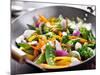 Vegetarian Wok Stir Fry-evren_photos-Mounted Photographic Print