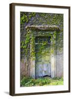 Vegetation and Ivy Growing over Empty Hall Near Leeds Yorkshire Uk-Paul Ridsdale-Framed Photographic Print