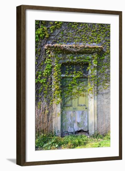 Vegetation and Ivy Growing over Empty Hall Near Leeds Yorkshire Uk-Paul Ridsdale-Framed Photographic Print