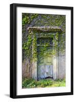 Vegetation and Ivy Growing over Empty Hall Near Leeds Yorkshire Uk-Paul Ridsdale-Framed Photographic Print