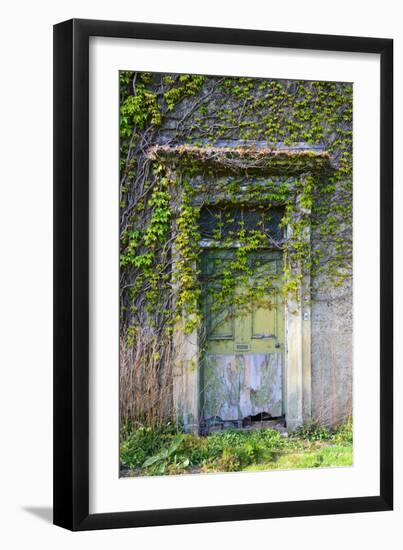 Vegetation and Ivy Growing over Empty Hall Near Leeds Yorkshire Uk-Paul Ridsdale-Framed Photographic Print