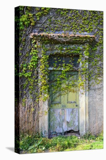 Vegetation and Ivy Growing over Empty Hall Near Leeds Yorkshire Uk-Paul Ridsdale-Stretched Canvas