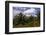 Vegetation at Palm Oil Plantation-W. Perry Conway-Framed Photographic Print