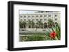 Vegetation, Local Recreation, 'Al Qasba', Entertainment District, Emirate of Sharjah-Axel Schmies-Framed Photographic Print