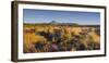 Vegetation, Mount Ngauruhoe, Tongariro National Park, Manawatu-Manganui, North Island, New Zealand-Rainer Mirau-Framed Photographic Print