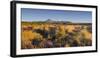 Vegetation, Mount Ngauruhoe, Tongariro National Park, Manawatu-Manganui, North Island, New Zealand-Rainer Mirau-Framed Photographic Print