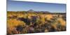 Vegetation, Mount Ngauruhoe, Tongariro National Park, Manawatu-Manganui, North Island, New Zealand-Rainer Mirau-Mounted Photographic Print