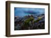 Vegetation on shore, Stora Le Lake, Sweden-Andrea Lang-Framed Photographic Print