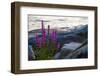 Vegetation on the shore, Stora Le Lake, Sweden-Andrea Lang-Framed Photographic Print